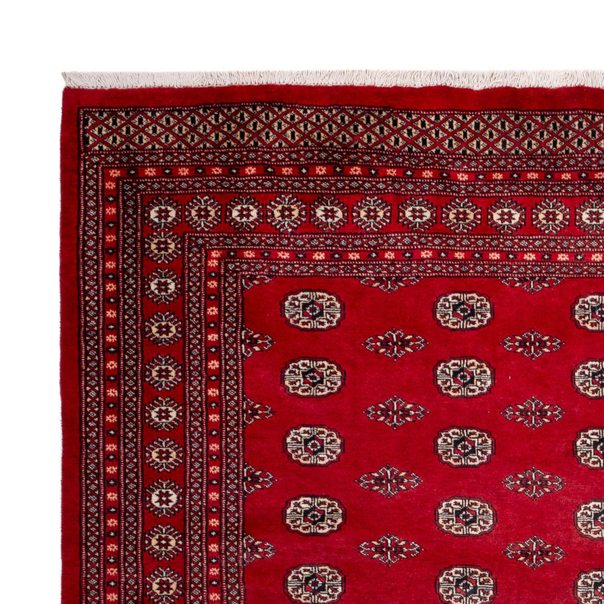 Tappeto afgano - Bukhara - 323 x 248 cm - rosso
