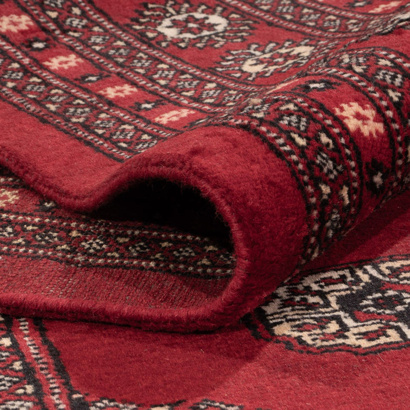 Tappeto afgano - Bukhara - 323 x 248 cm - rosso