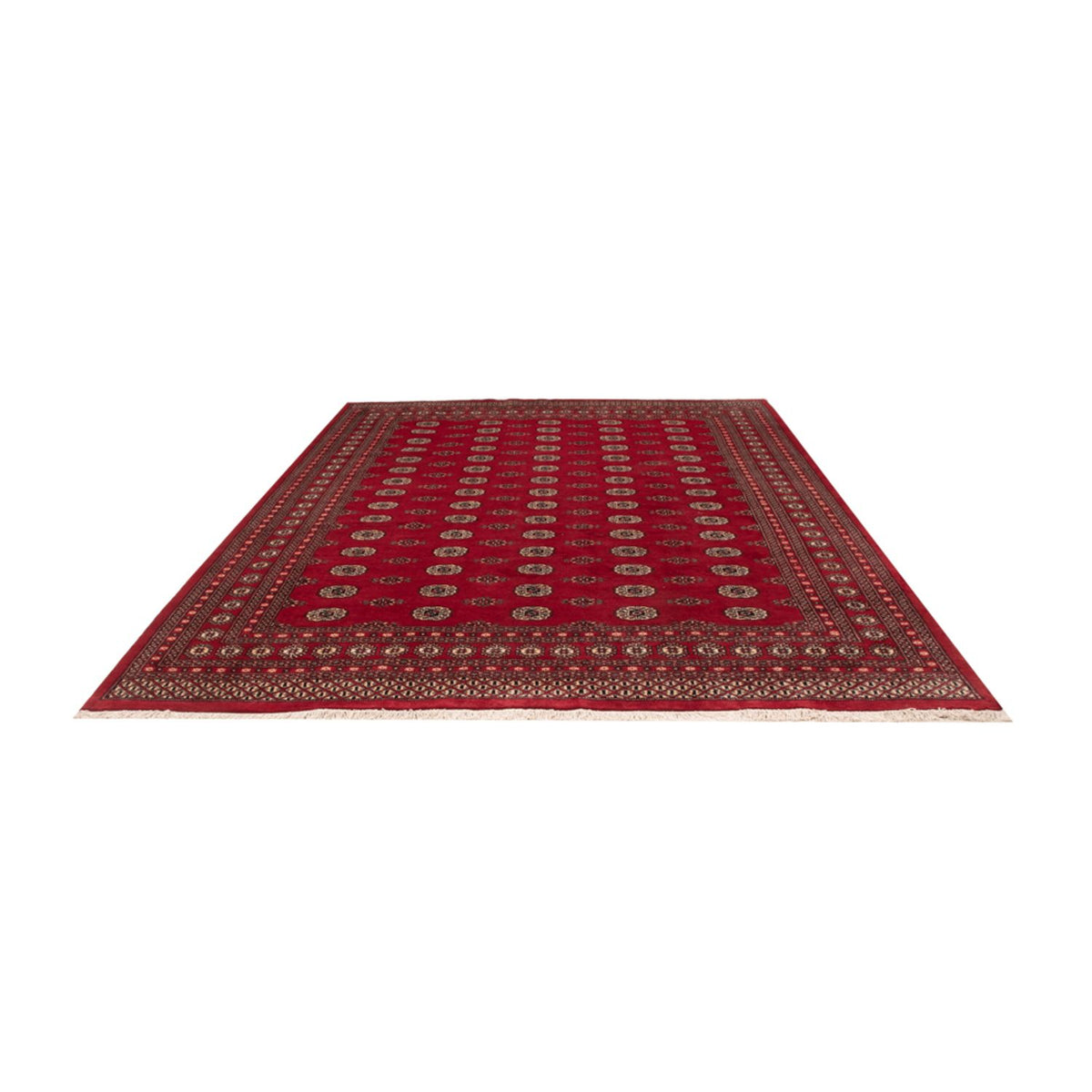 Tappeto afgano - Bukhara - 323 x 248 cm - rosso