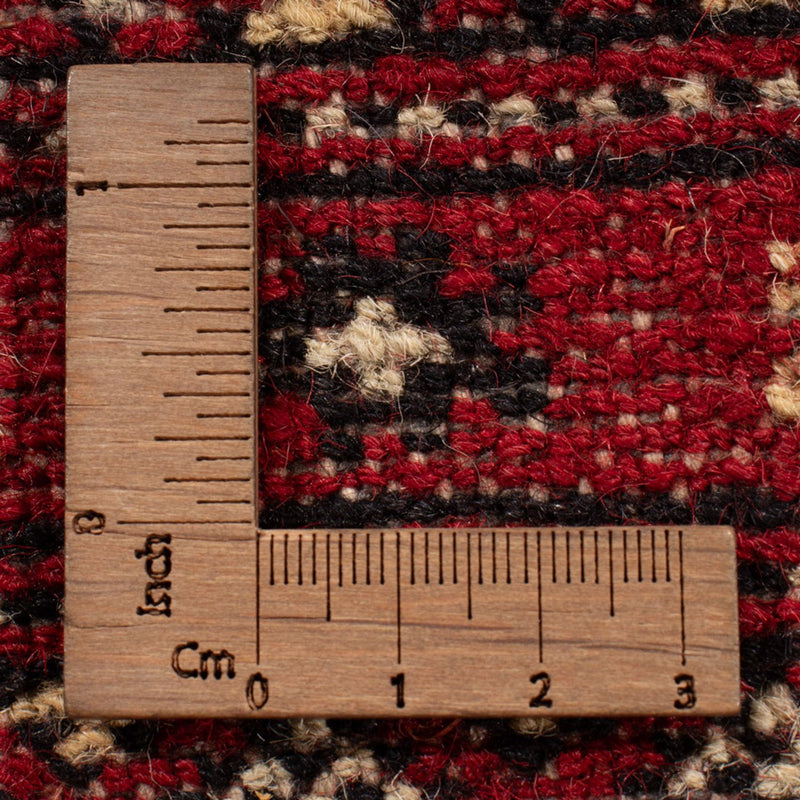 Tappeto afgano - Bukhara - 323 x 248 cm - rosso