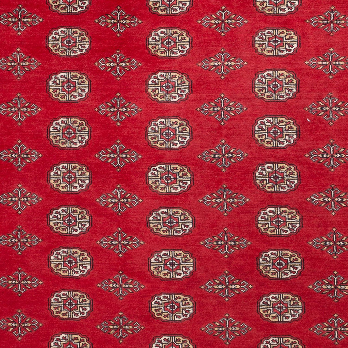 Tappeto afgano - Bukhara - 321 x 247 cm - rosso
