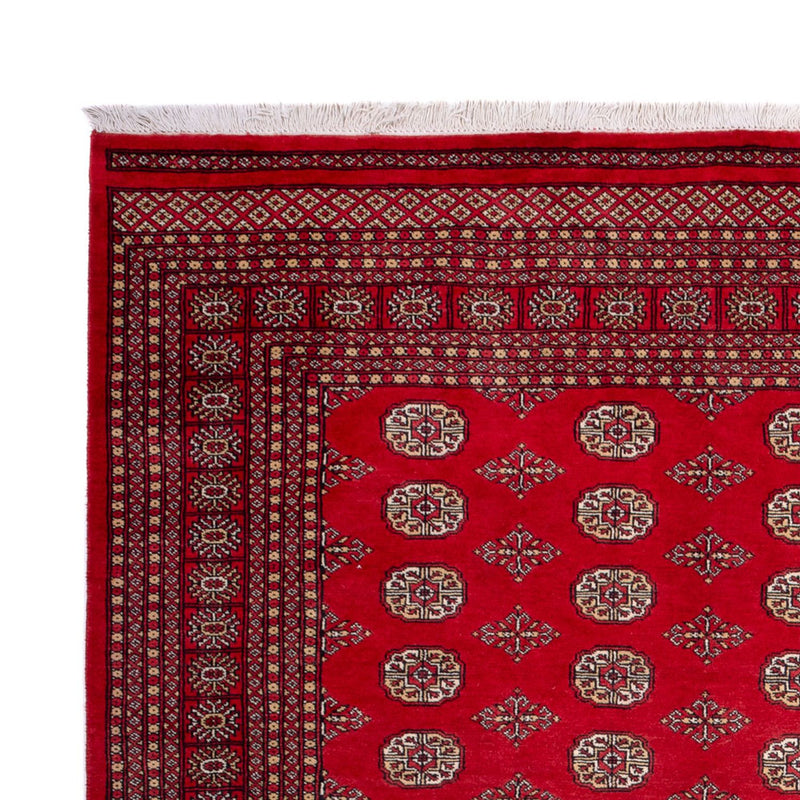 Tappeto afgano - Bukhara - 321 x 247 cm - rosso