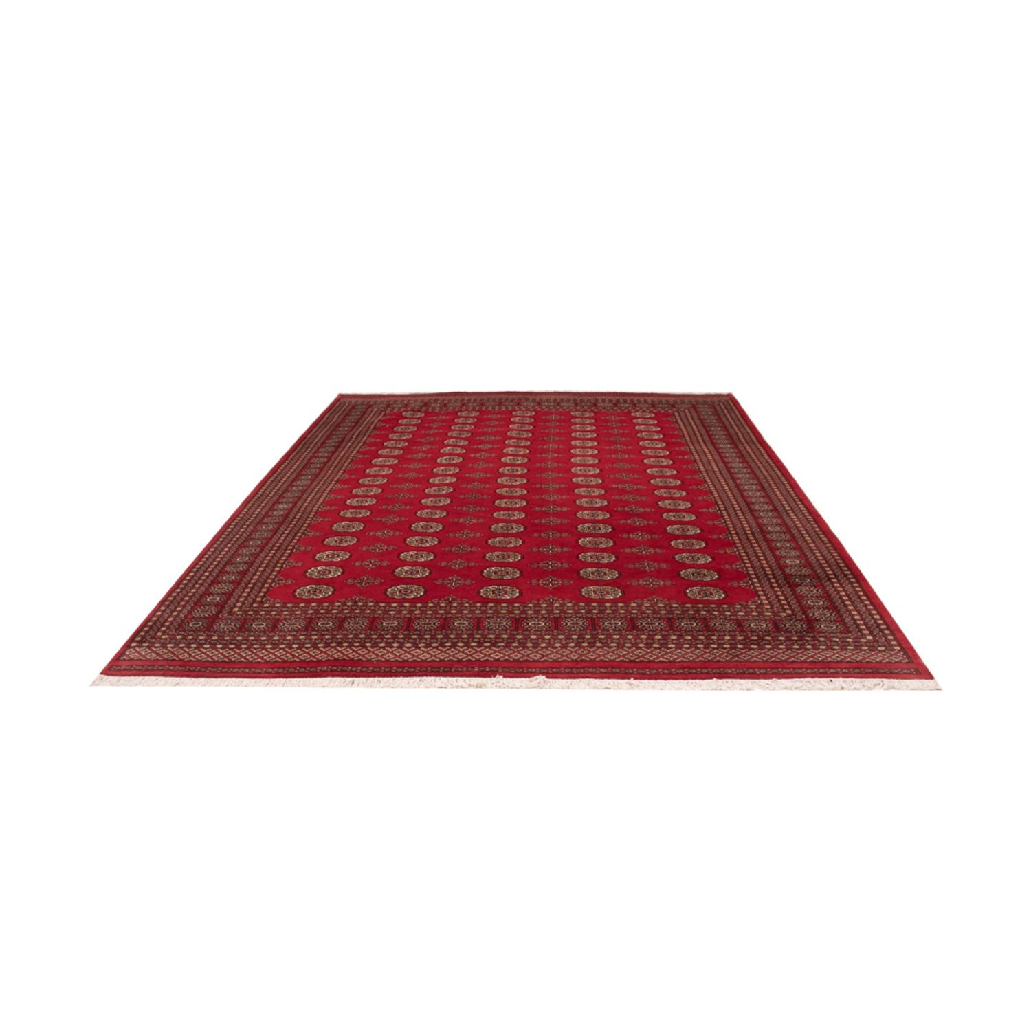 Tappeto afgano - Bukhara - 321 x 247 cm - rosso