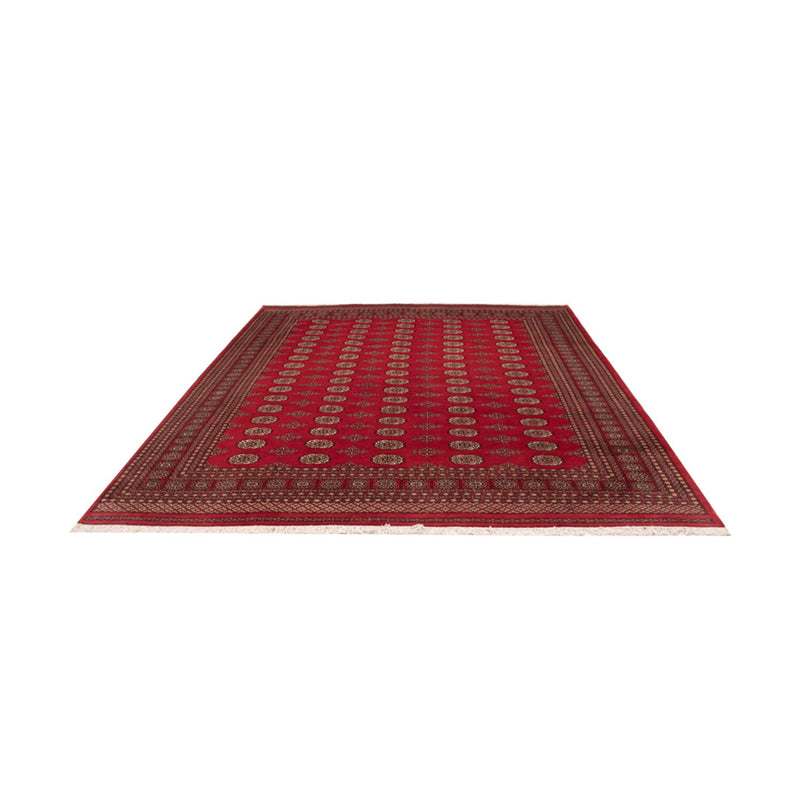 Tappeto afgano - Bukhara - 321 x 247 cm - rosso