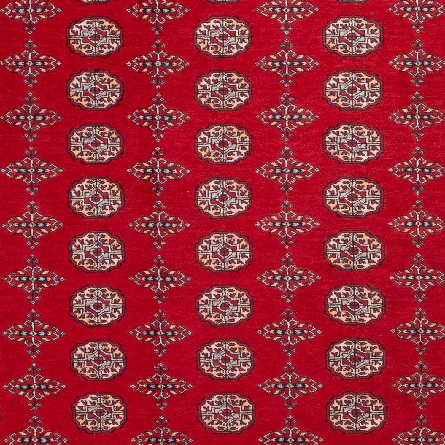 Tappeto afgano - Bukhara - 318 x 247 cm - rosso