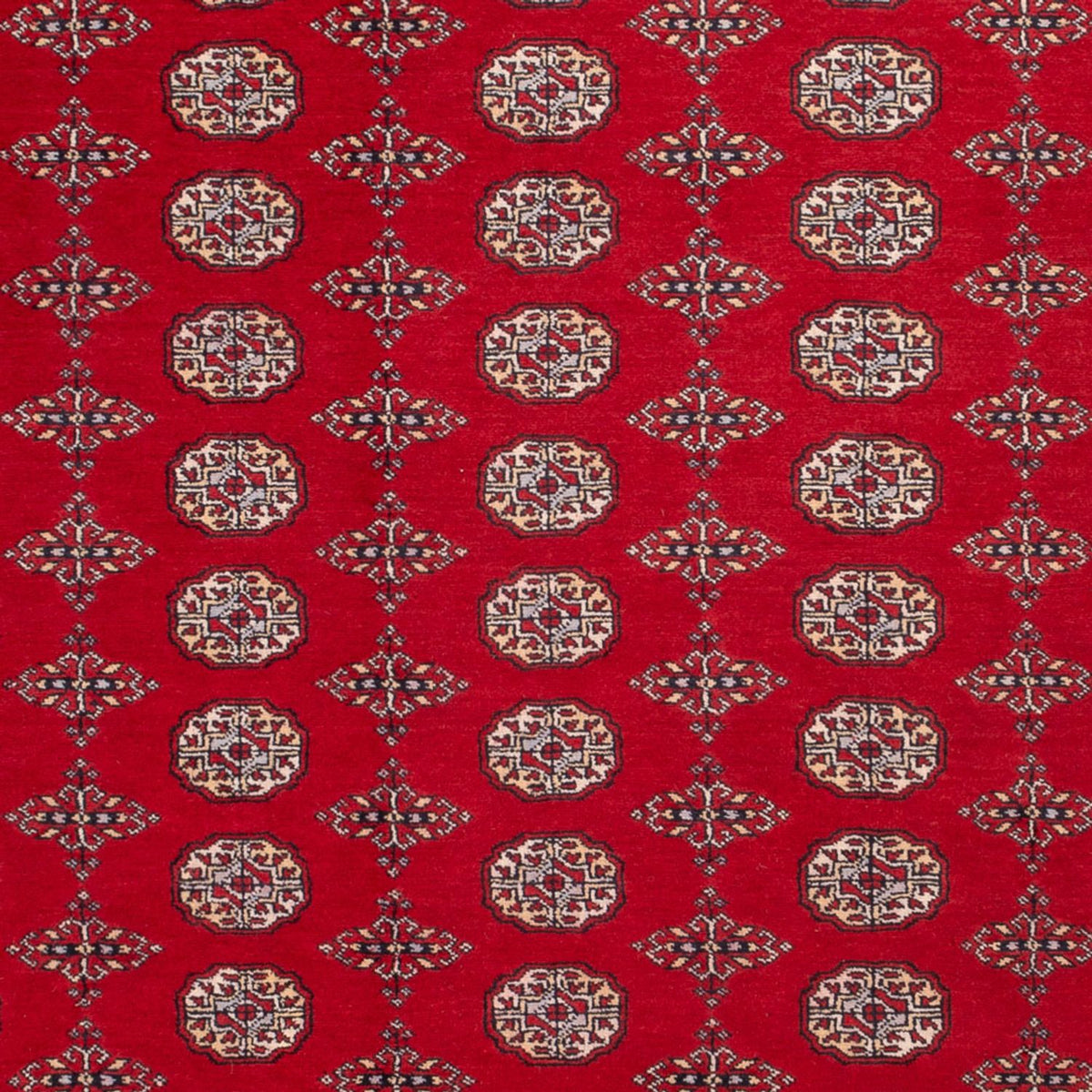 Tappeto afgano - Bukhara - 318 x 247 cm - rosso