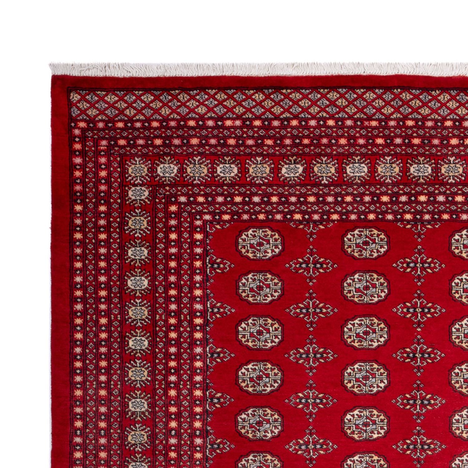 Tappeto afgano - Bukhara - 318 x 247 cm - rosso