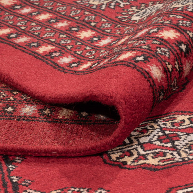 Tappeto afgano - Bukhara - 318 x 247 cm - rosso