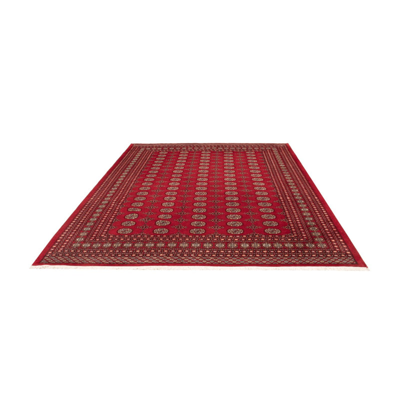 Tappeto afgano - Bukhara - 318 x 247 cm - rosso