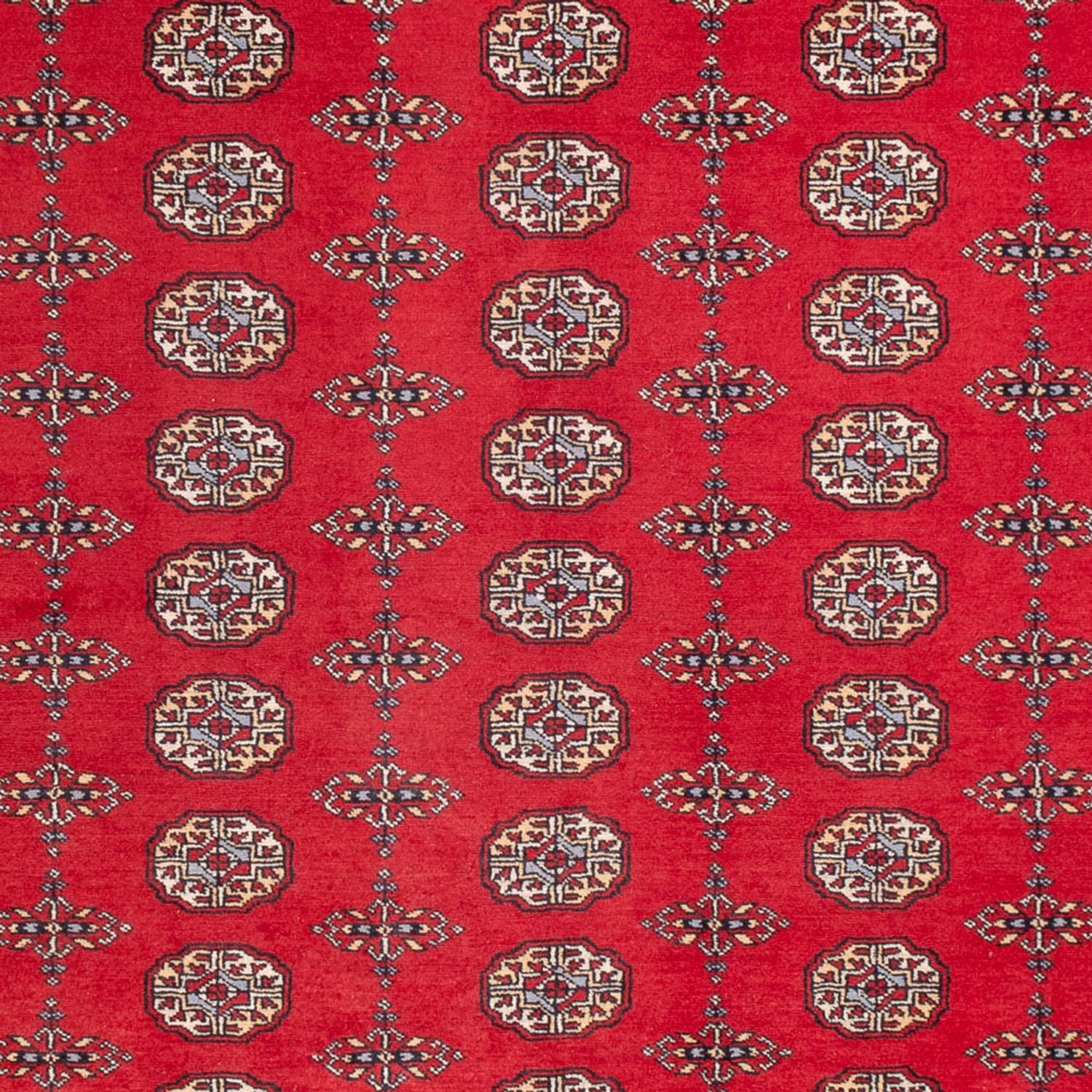 Tappeto afgano - Bukhara - 310 x 250 cm - rosso