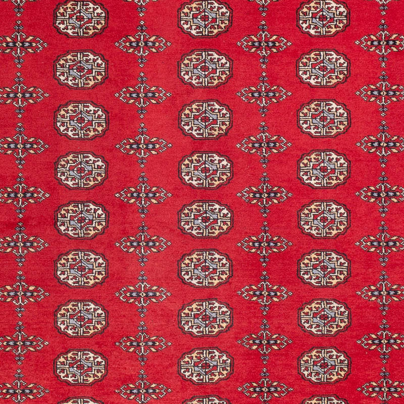Tappeto afgano - Bukhara - 310 x 250 cm - rosso