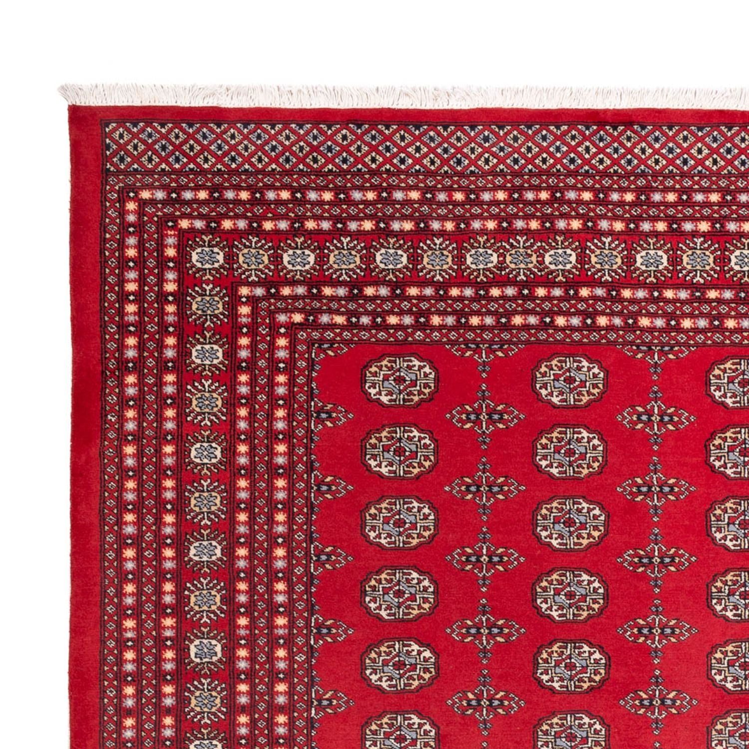 Tappeto afgano - Bukhara - 310 x 250 cm - rosso