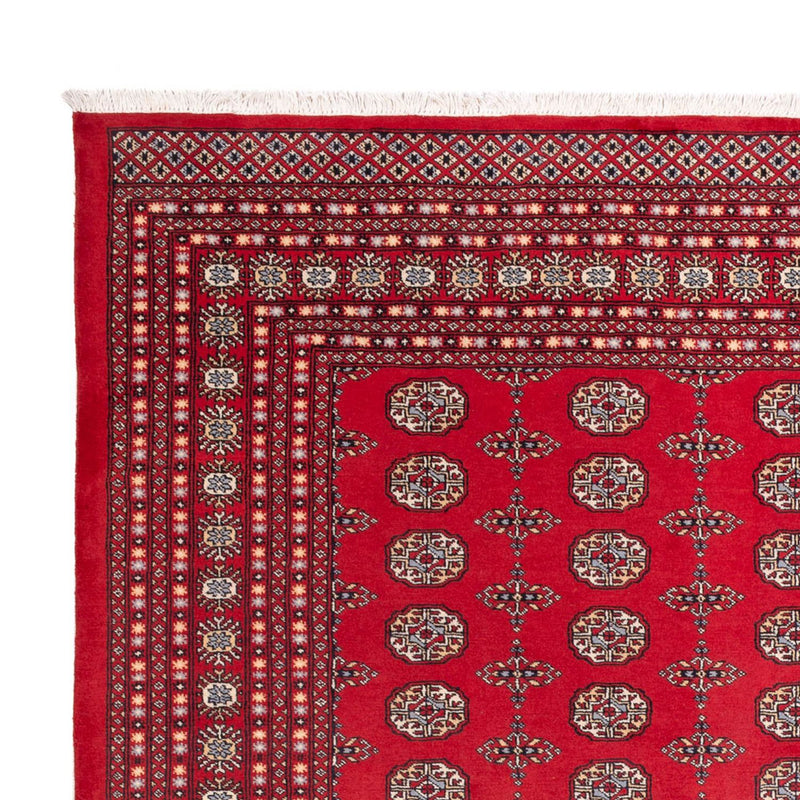 Tappeto afgano - Bukhara - 310 x 250 cm - rosso