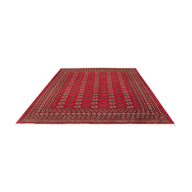 Tappeto afgano - Bukhara - 310 x 250 cm - rosso