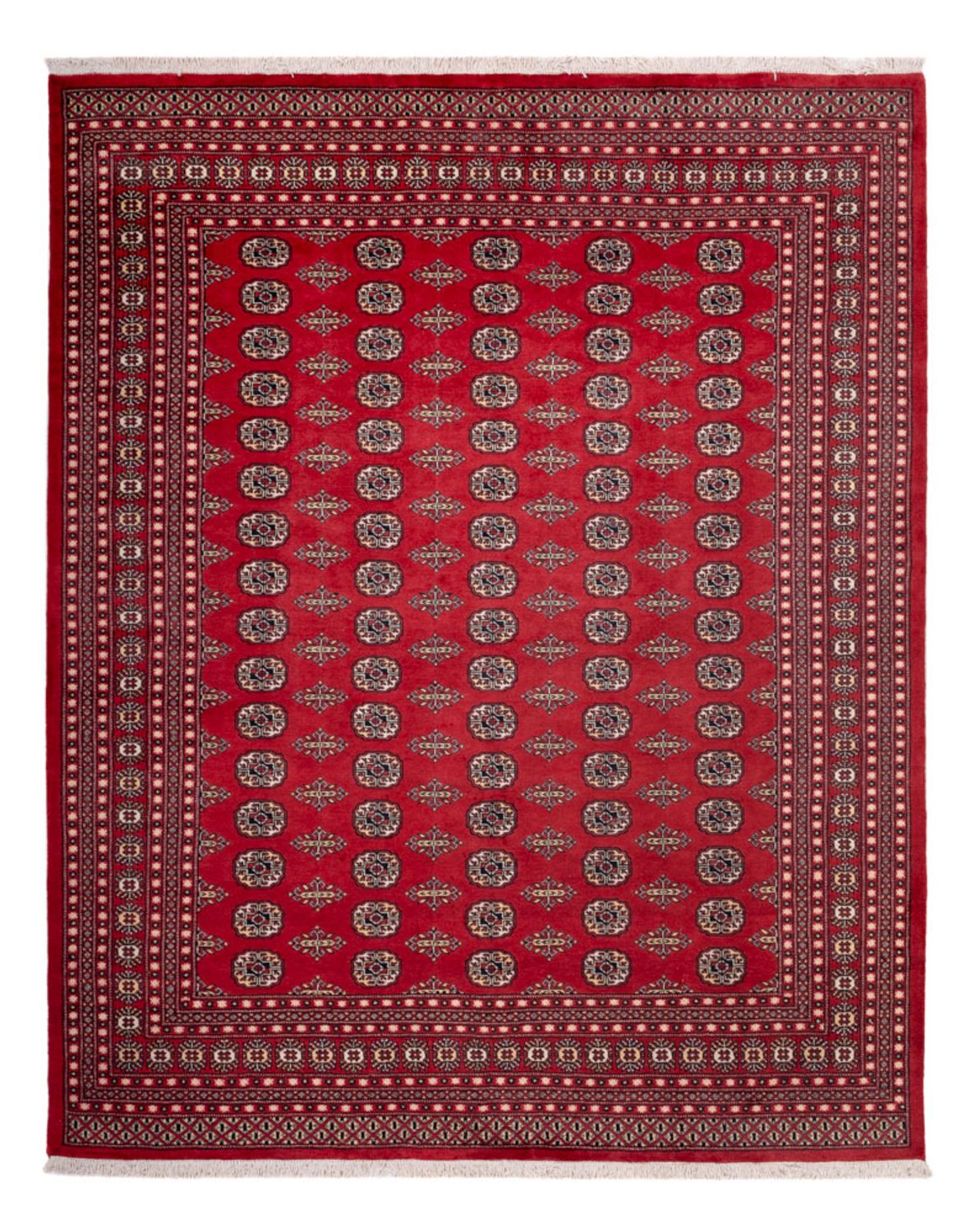 Tappeto afgano - Bukhara - 315 x 248 cm - rosso