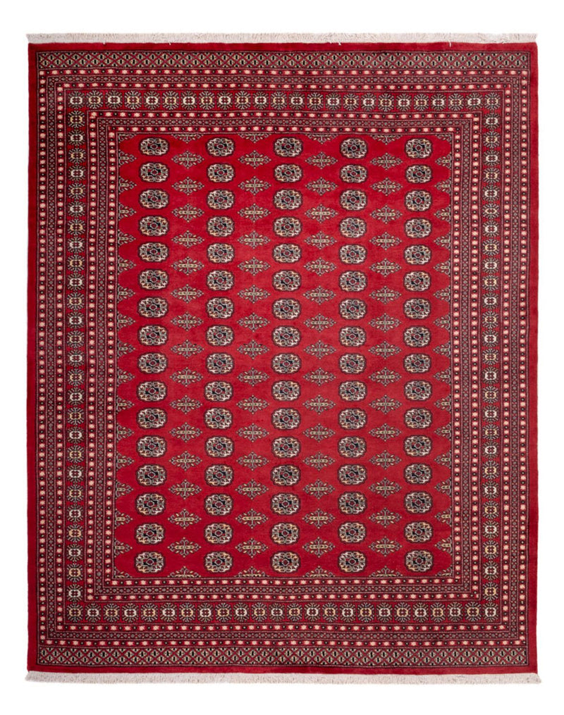 Tappeto afgano - Bukhara - 315 x 248 cm - rosso