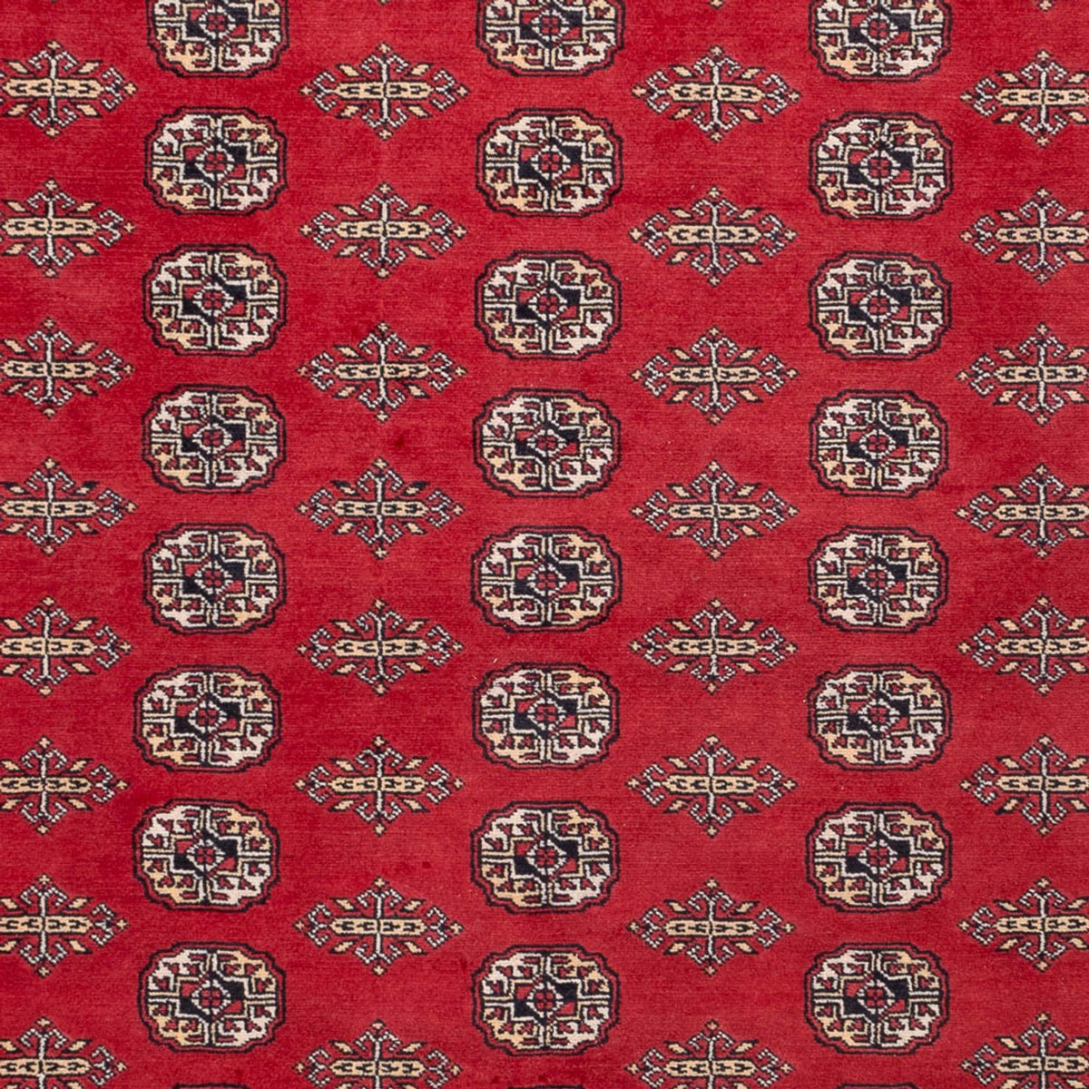 Tappeto afgano - Bukhara - 315 x 248 cm - rosso
