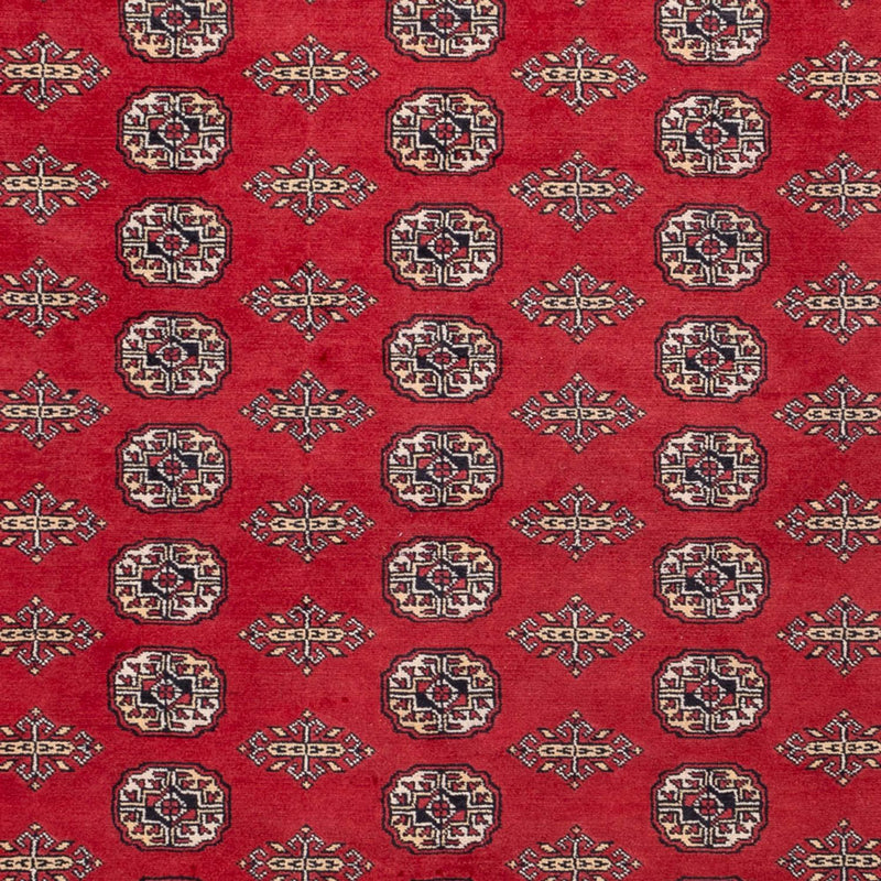 Tappeto afgano - Bukhara - 315 x 248 cm - rosso