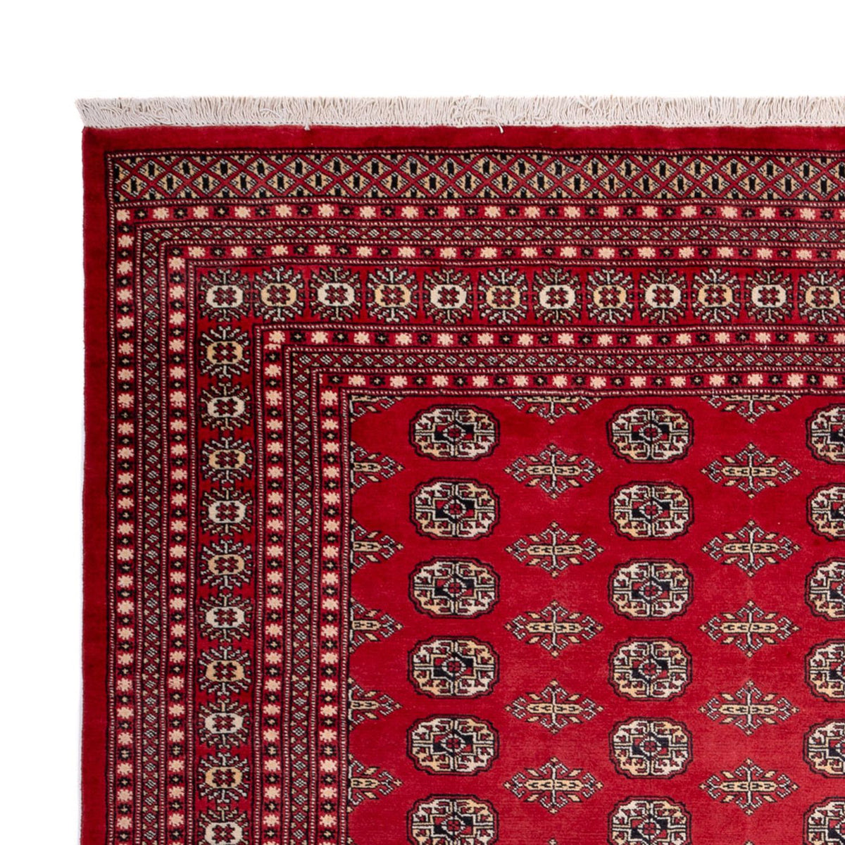 Tappeto afgano - Bukhara - 315 x 248 cm - rosso