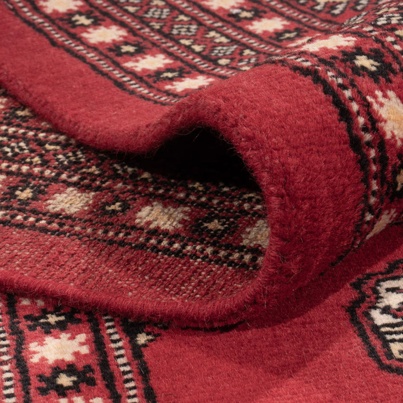 Tappeto afgano - Bukhara - 315 x 248 cm - rosso
