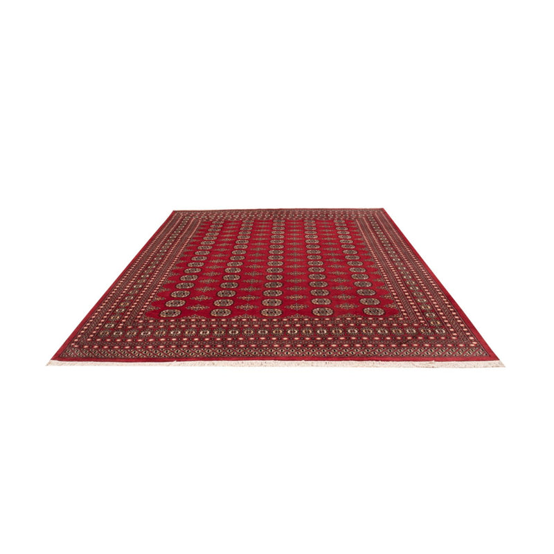 Tappeto afgano - Bukhara - 315 x 248 cm - rosso