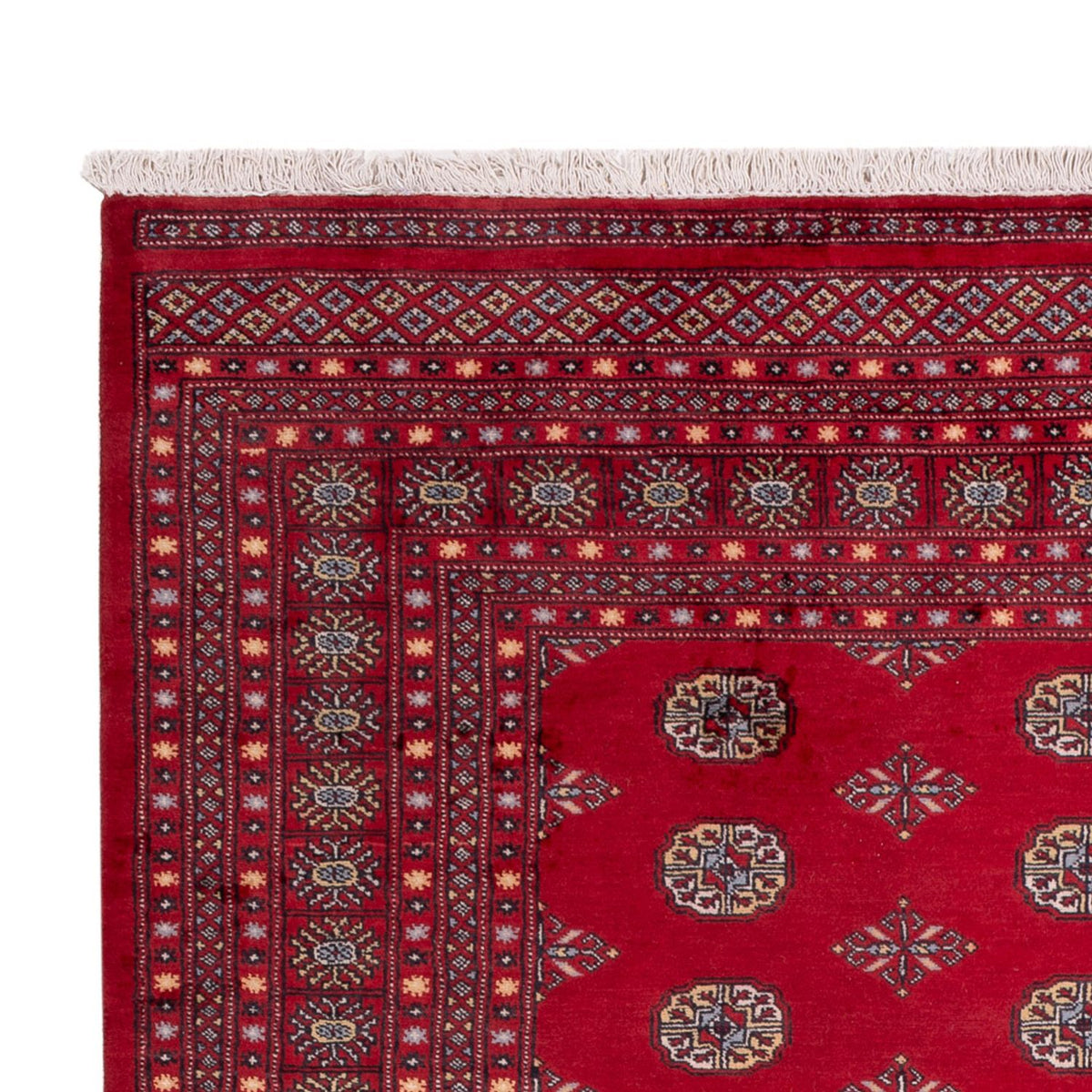 Tappeto afgano - Bukhara - 307 x 202 cm - rosso