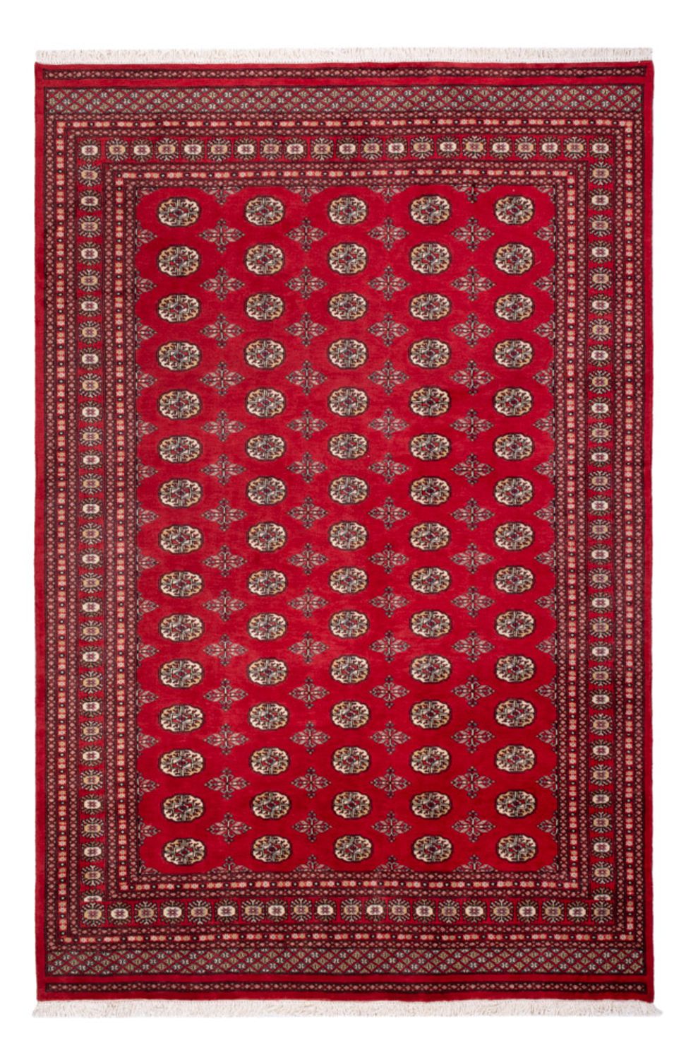 Tappeto afgano - Bukhara - 298 x 198 cm - rosso