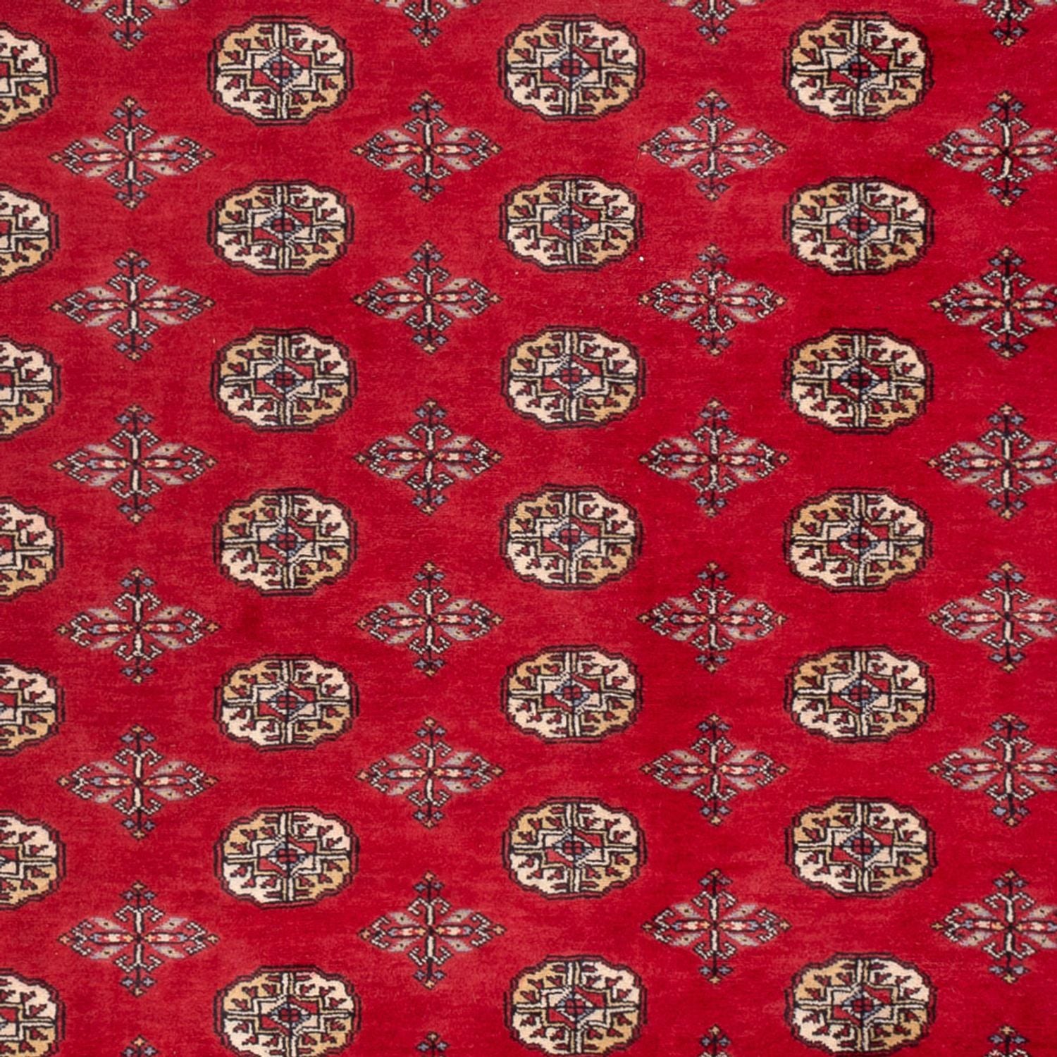 Tappeto afgano - Bukhara - 298 x 198 cm - rosso