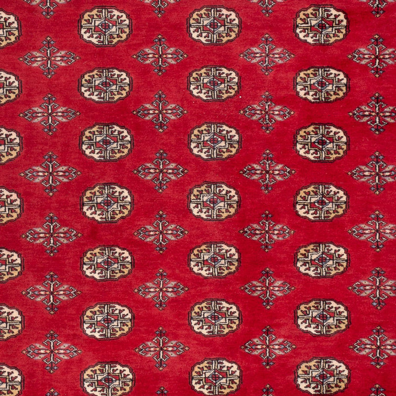 Tappeto afgano - Bukhara - 298 x 198 cm - rosso