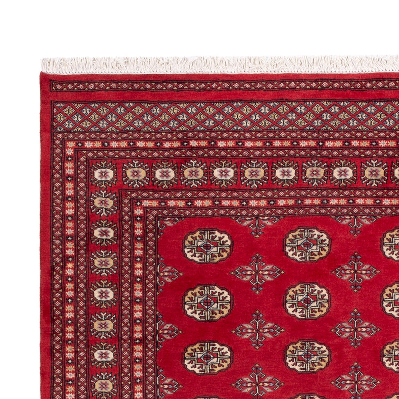 Tappeto afgano - Bukhara - 298 x 198 cm - rosso