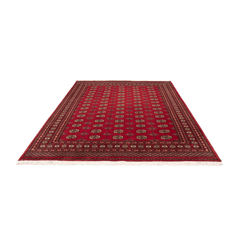 Tappeto afgano - Bukhara - 298 x 198 cm - rosso