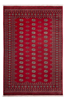 Tappeto afgano - Bukhara - 302 x 202 cm - rosso