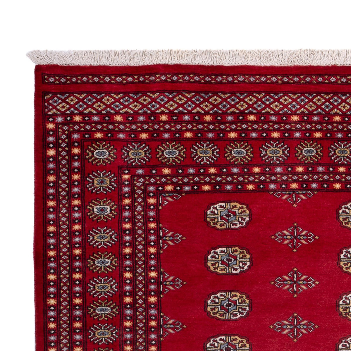 Tappeto afgano - Bukhara - 302 x 202 cm - rosso