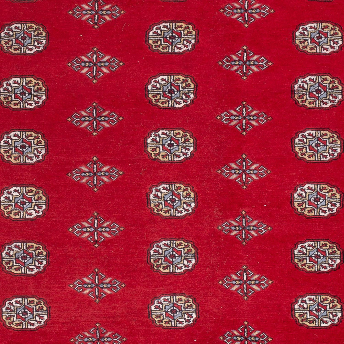 Tappeto afgano - Bukhara - 303 x 205 cm - rosso