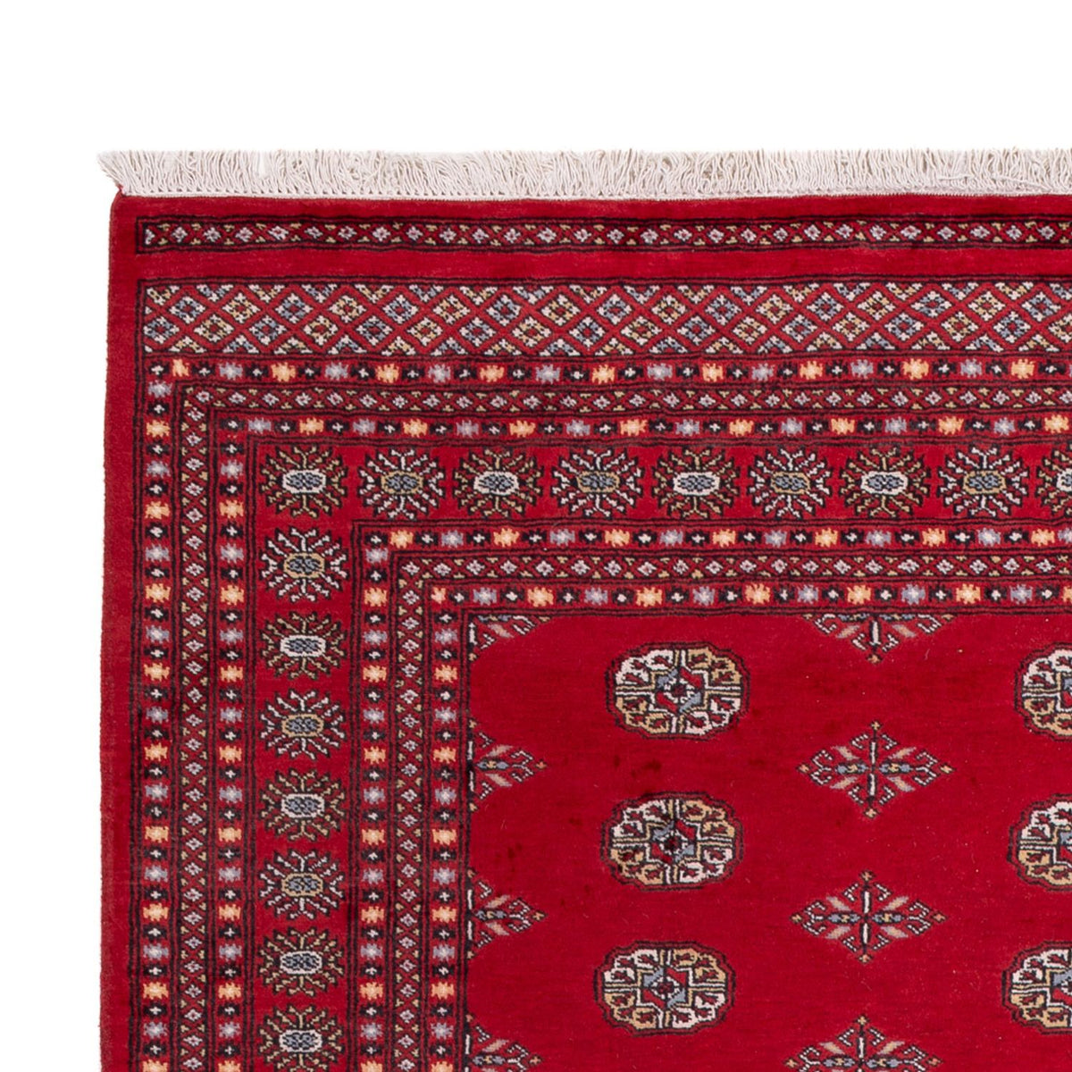 Tappeto afgano - Bukhara - 303 x 205 cm - rosso