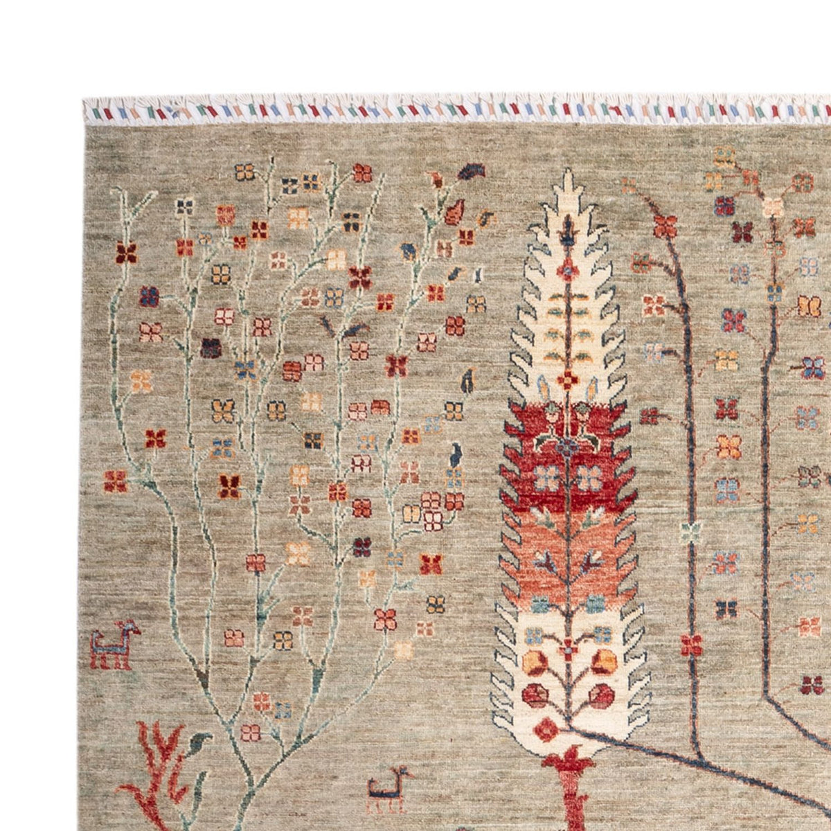 Tappeto Ziegler - Ariana - 301 x 205 cm - sabbia