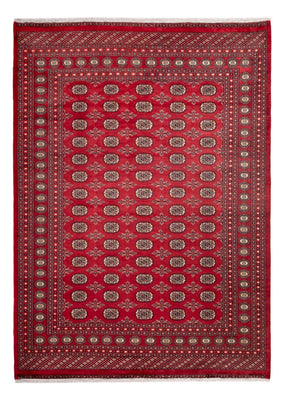 Tappeto afgano - Bukhara - 297 x 220 cm - rosso