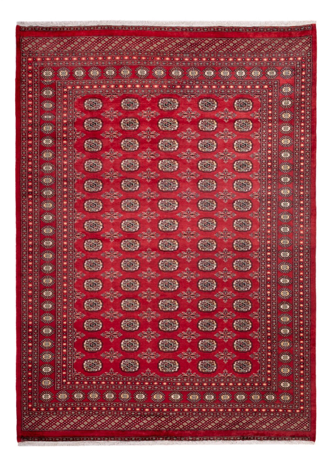 Tappeto afgano - Bukhara - 297 x 220 cm - rosso