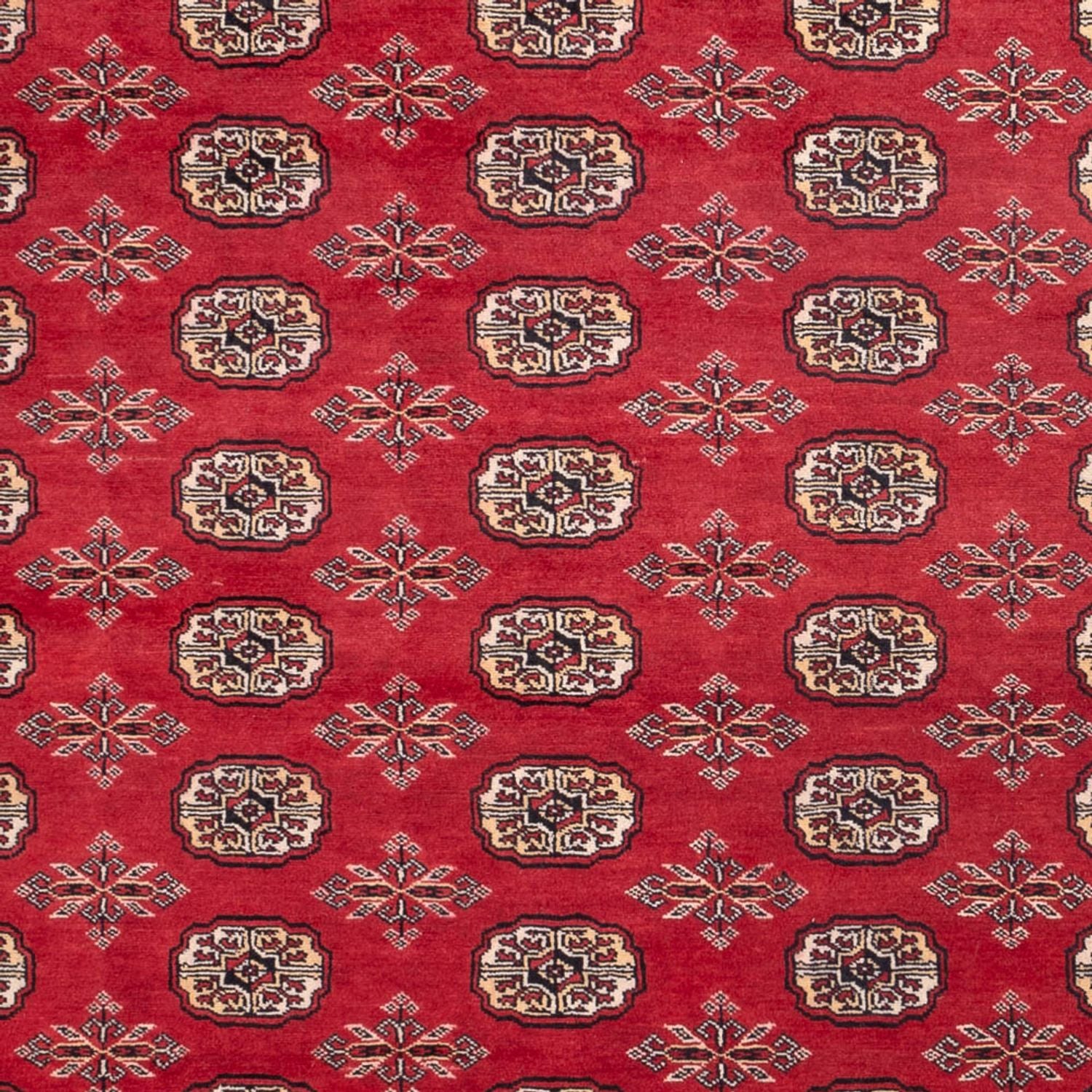 Tappeto afgano - Bukhara - 297 x 220 cm - rosso