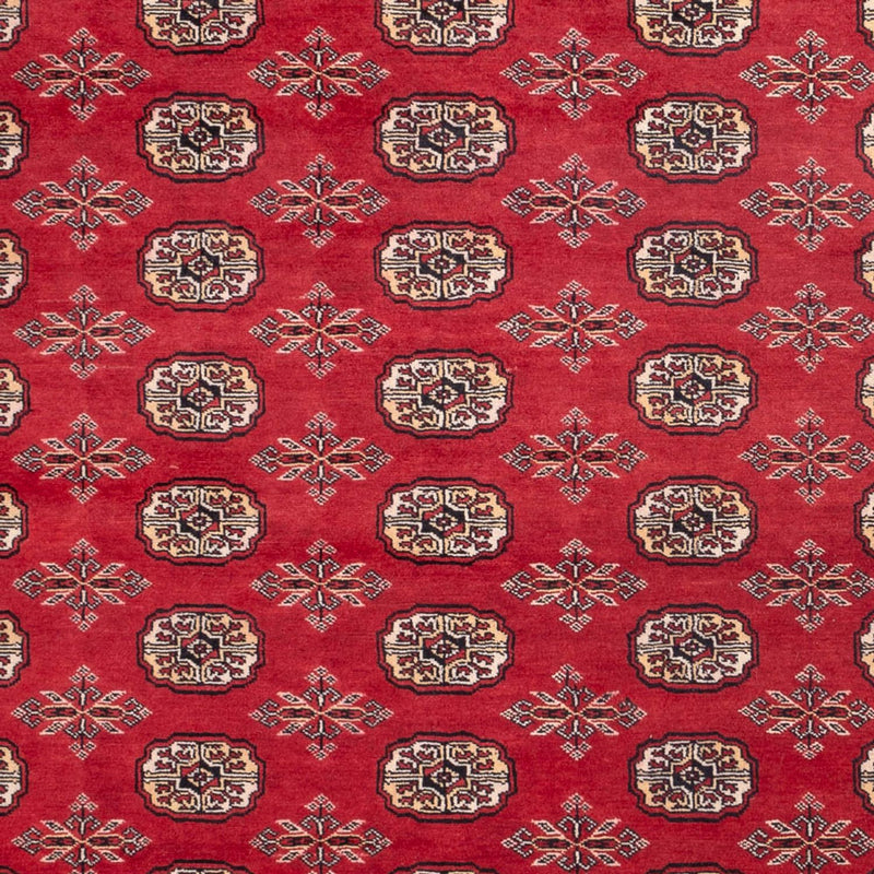 Tappeto afgano - Bukhara - 297 x 220 cm - rosso