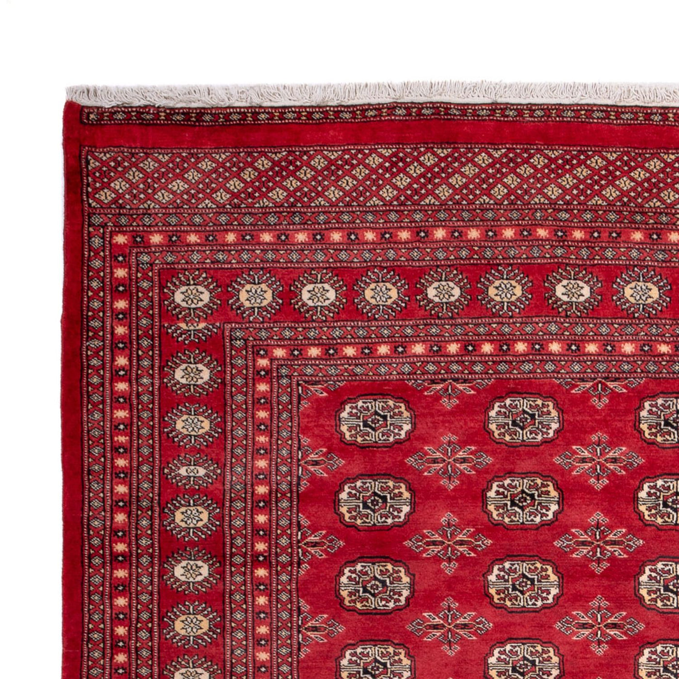 Bukhara Tappeto 297x220cm - Tappeto orientale