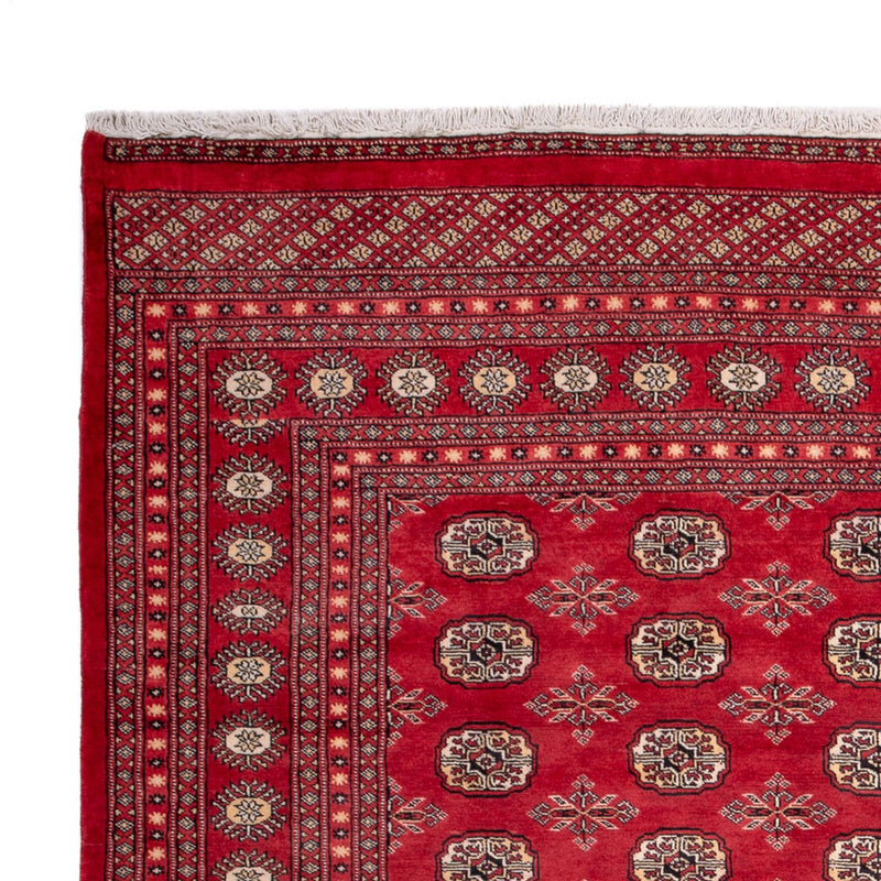Tappeto afgano - Bukhara - 297 x 220 cm - rosso