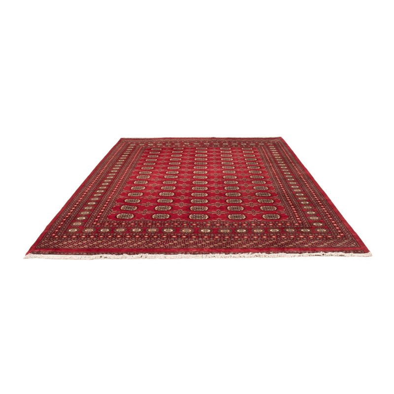 Tappeto afgano - Bukhara - 297 x 220 cm - rosso
