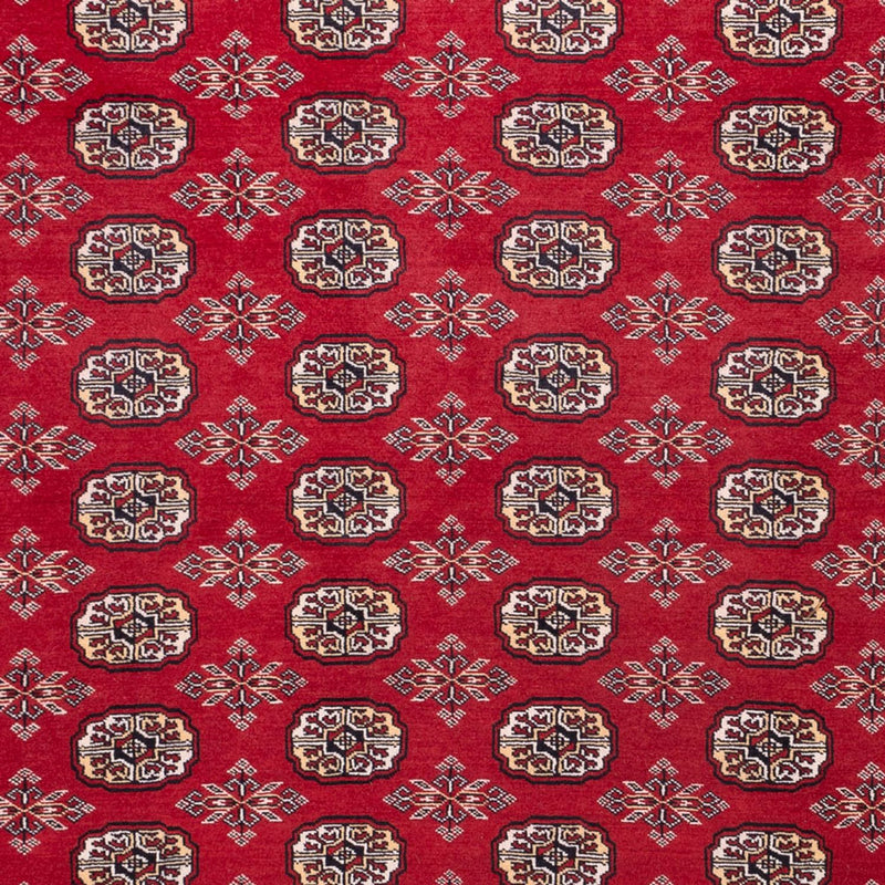 Tappeto afgano - Bukhara - 322 x 248 cm - rosso