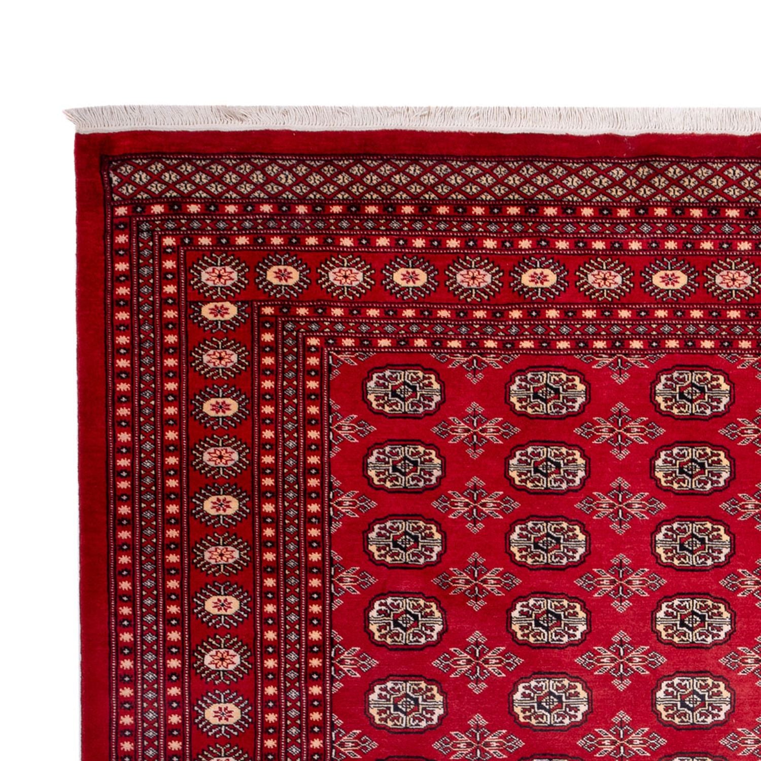 Tappeto afgano - Bukhara - 322 x 248 cm - rosso