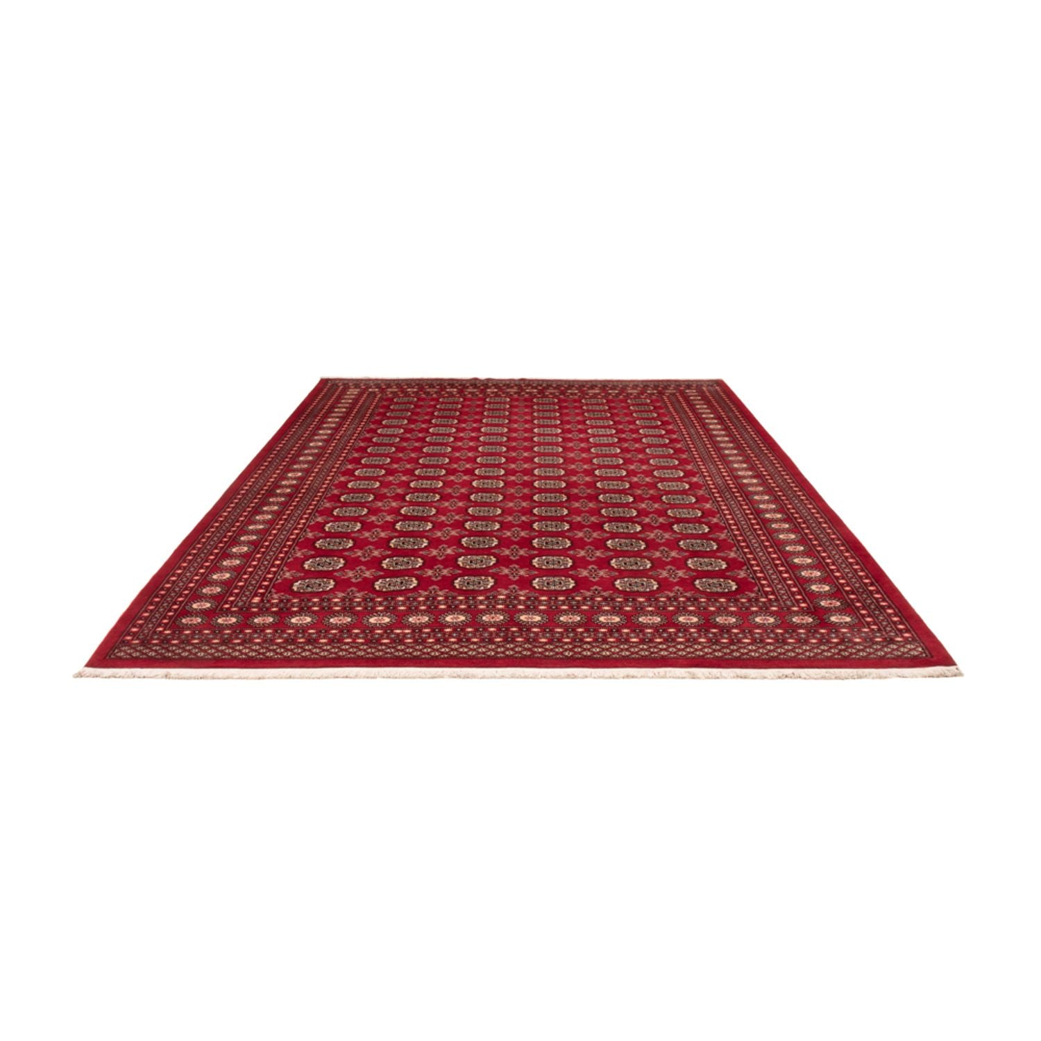 Tappeto afgano - Bukhara - 322 x 248 cm - rosso