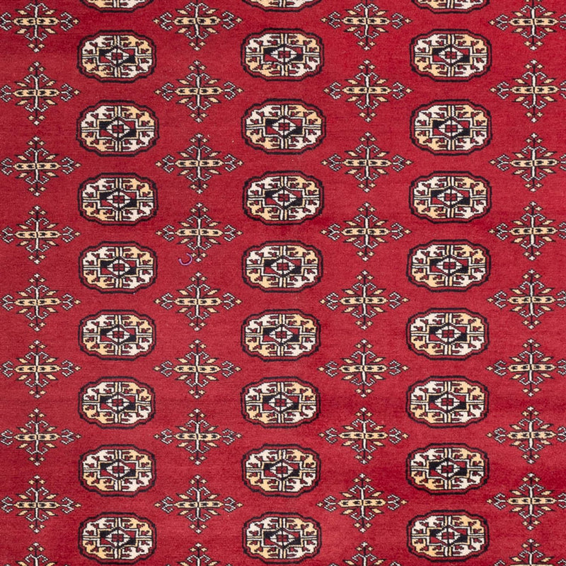 Tappeto afgano - Bukhara - 312 x 245 cm - rosso