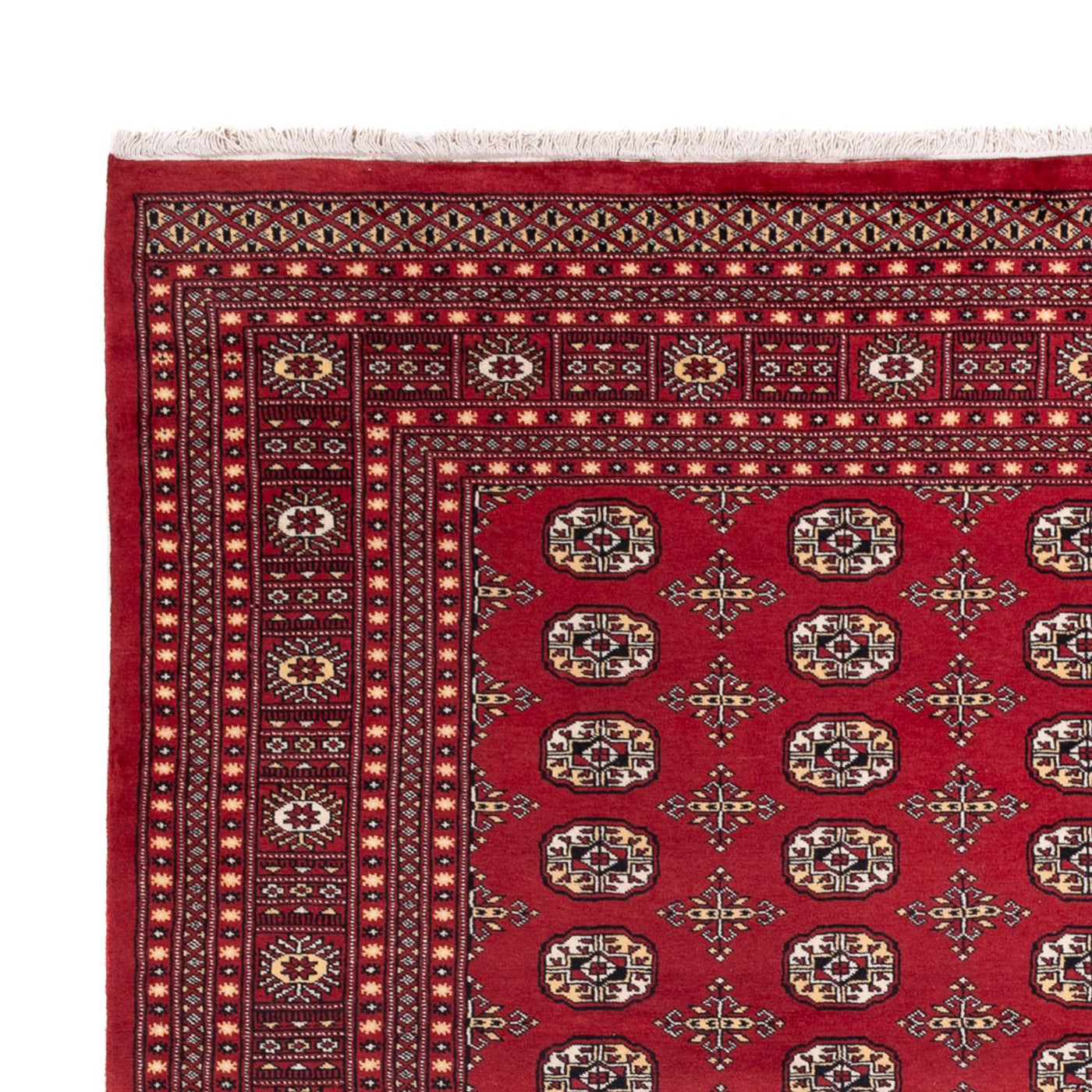 Bukhara Tappeto 312x245cm - Tappeto orientale