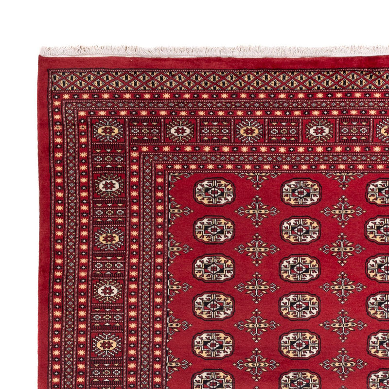 Tappeto afgano - Bukhara - 312 x 245 cm - rosso