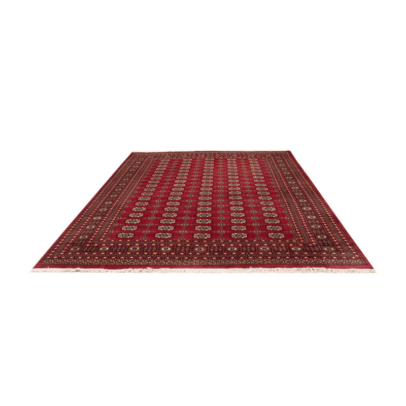 Tappeto afgano - Bukhara - 312 x 245 cm - rosso